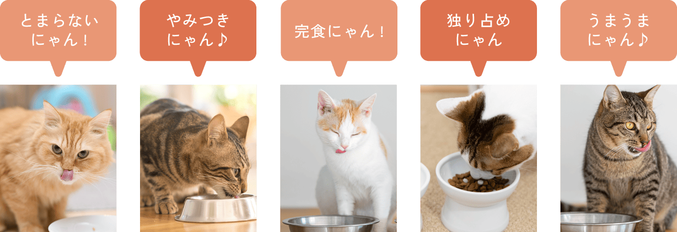 スクロールテキスト