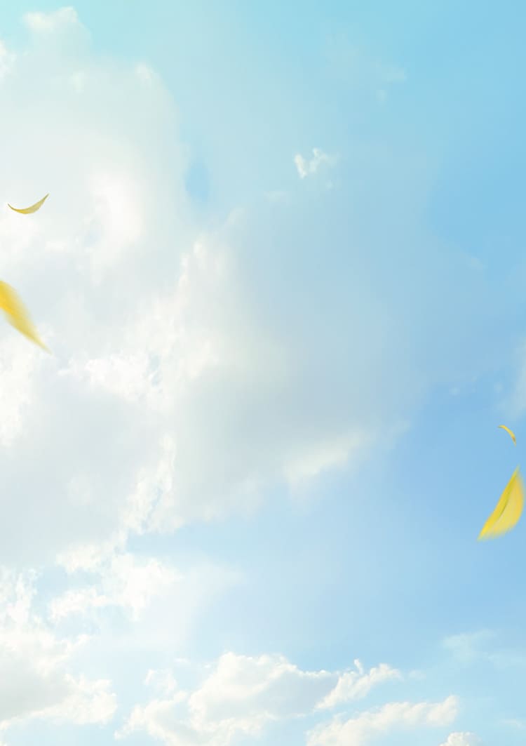 背景画像