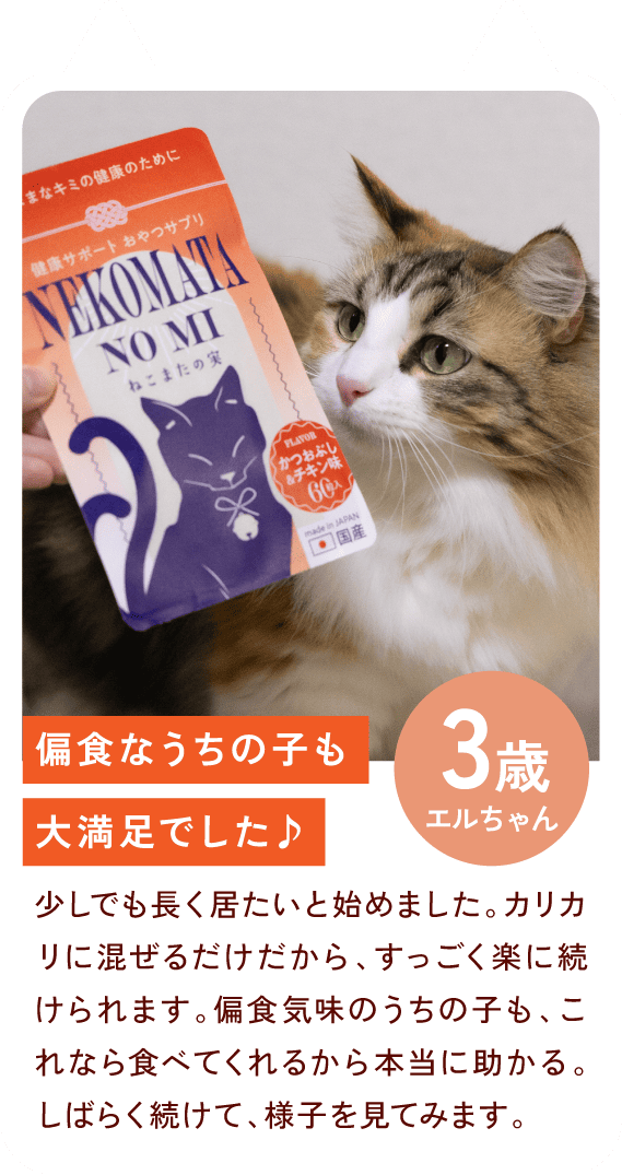 スライド1