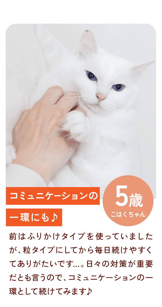 スライド4