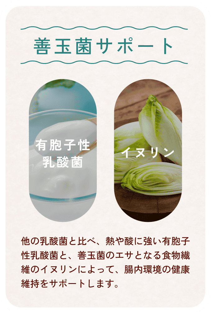 成分2