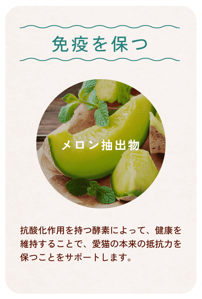 成分4